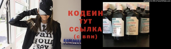 молекула духа Костерёво
