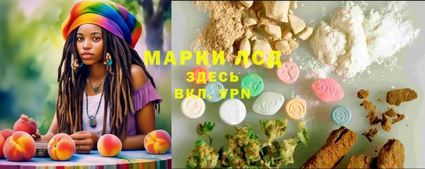 молекула духа Костерёво